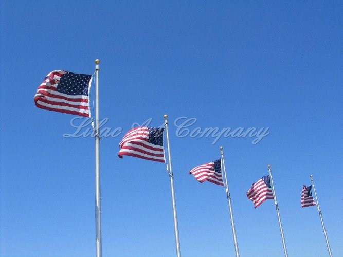 Star Spangled Banners